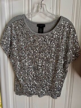 Metaphor Silver Sequin Crop Top